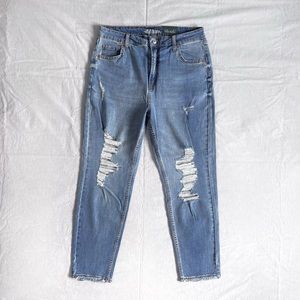 Wild Fable High Rise Distressed Mom Jean - 12/31